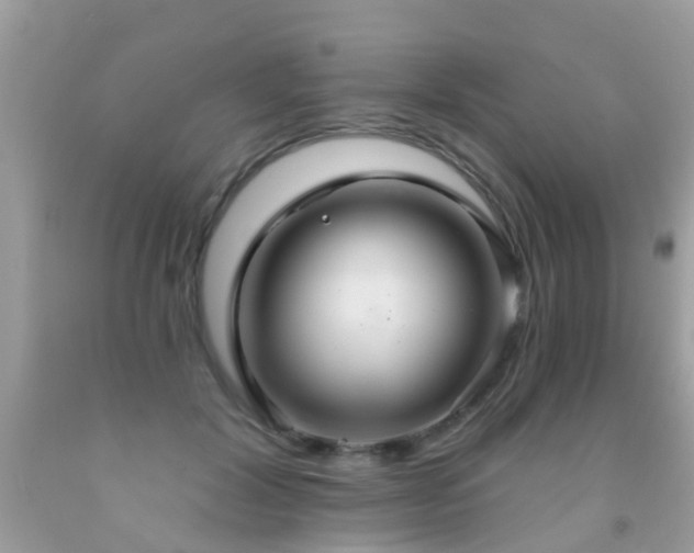 X0000091930604200709051503