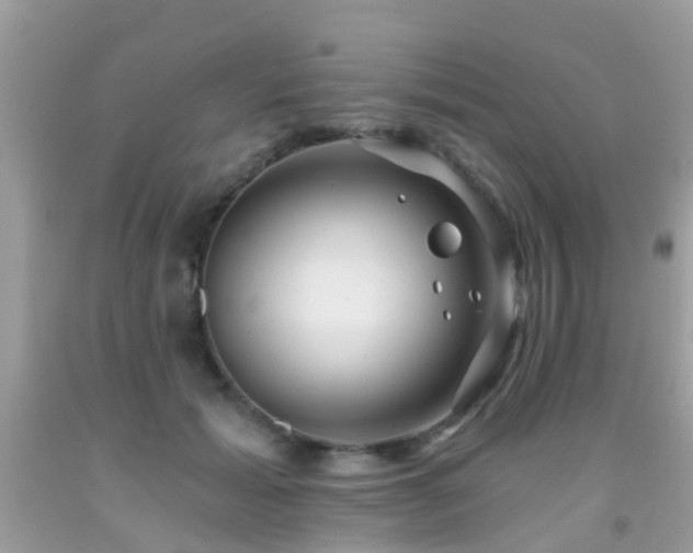 X0000091930605200709051503