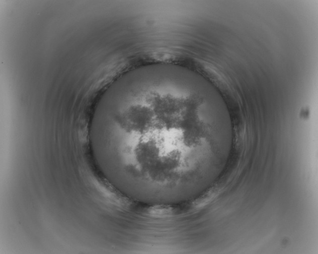 X0000091930606200709051503