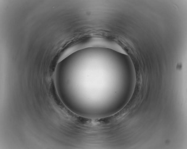 X0000091930607200709051503