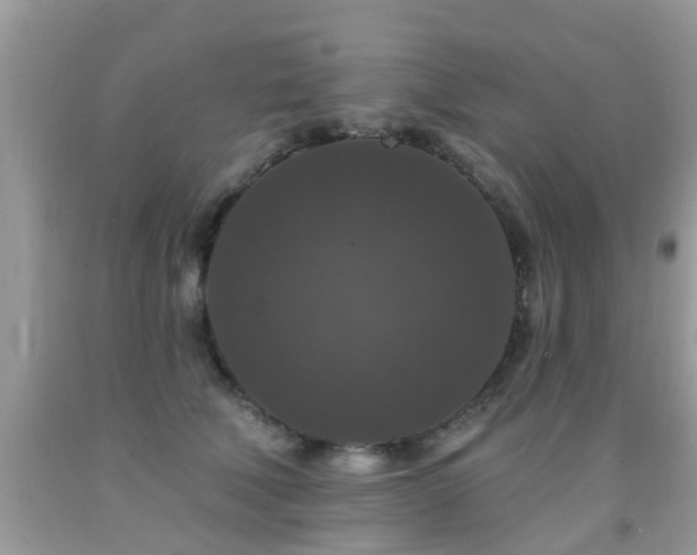 X0000091930610200709051503