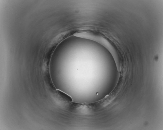 X0000091930611200709051503