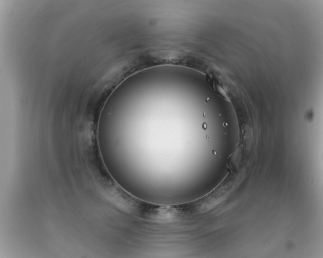 X0000091930612200709051503