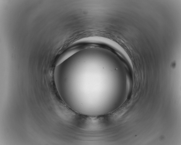 X0000091930613200709051503