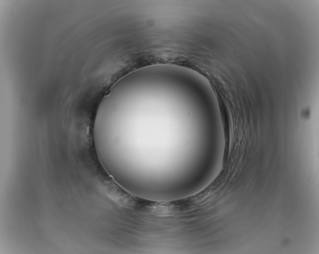 X0000091930615200709051502
