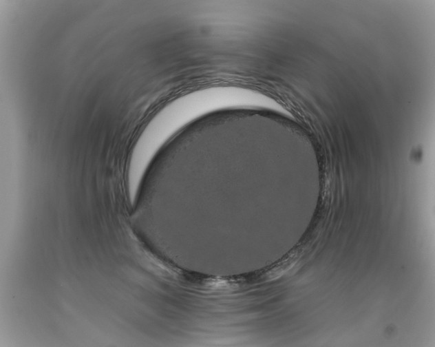 X0000091930616200709051502