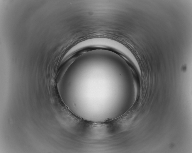 X0000091930617200709051502