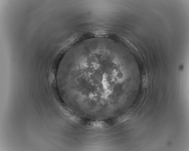 X0000091930618200709051502