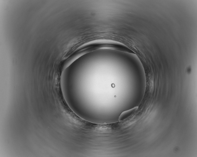 X0000091930619200709051502