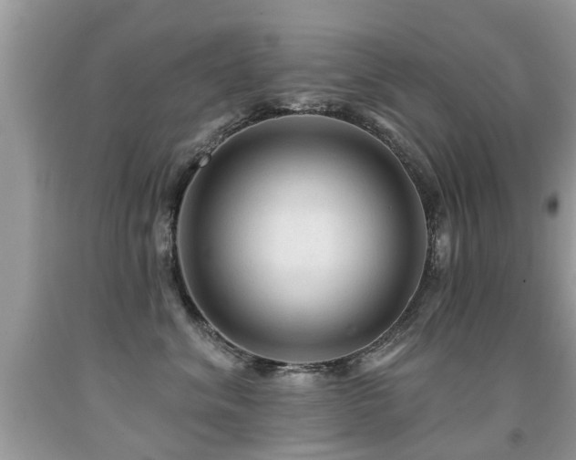 X0000091930620200709051502