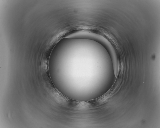 X0000091930621200709051502
