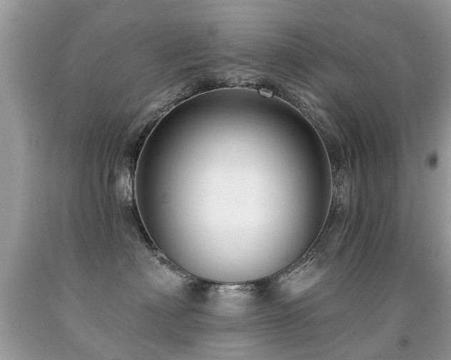 X0000091930622200709051502