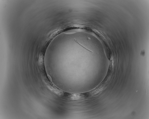 X0000091930623200709051502