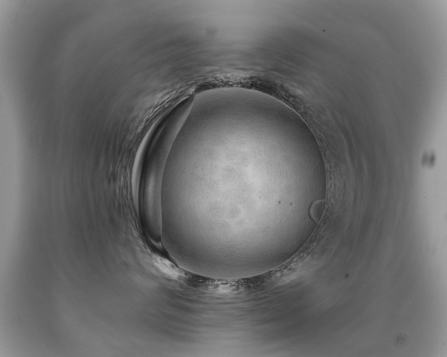 X0000091930624200709051502