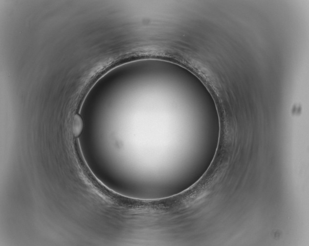 X0000091930625200709051502