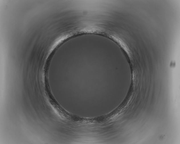 X0000091930626200709051502