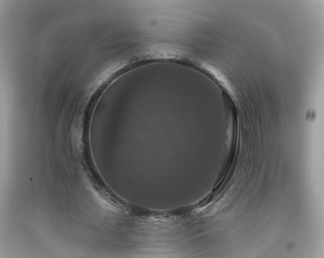 X0000091930627200709051502