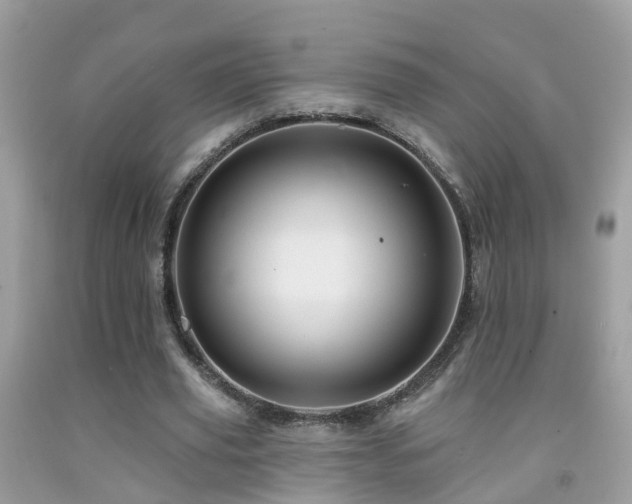 X0000091930629200709051502