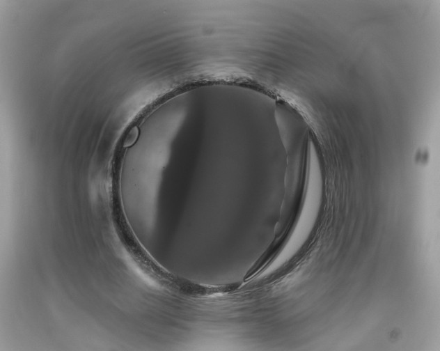 X0000091930630200709051502
