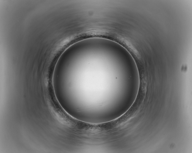 X0000091930631200709051502