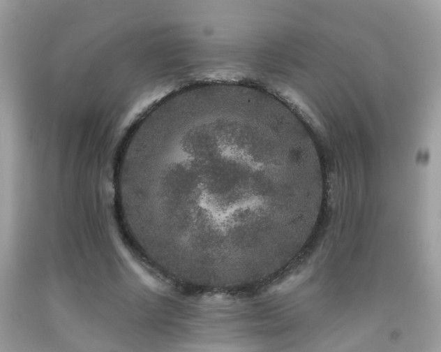 X0000091930634200709051502