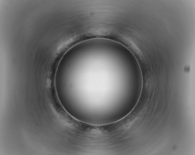 X0000091930635200709051502