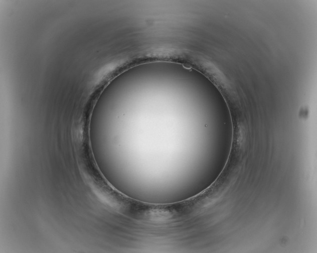 X0000091930636200709051502