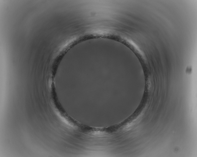 X0000091930637200709051502