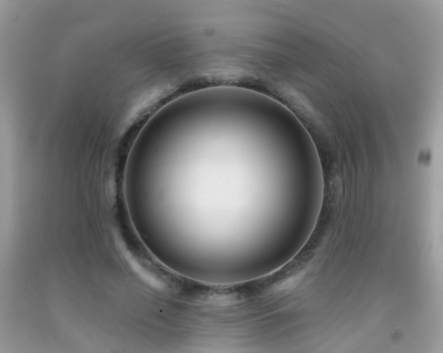 X0000091930638200709051502