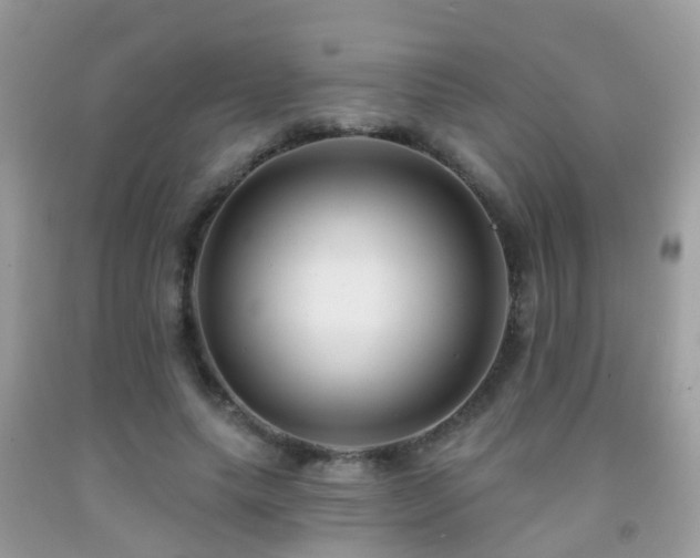 X0000091930639200709051502