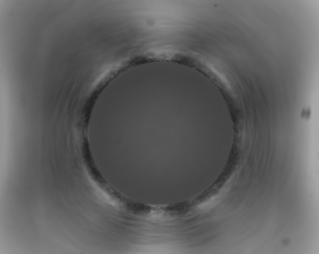 X0000091930641200709051502