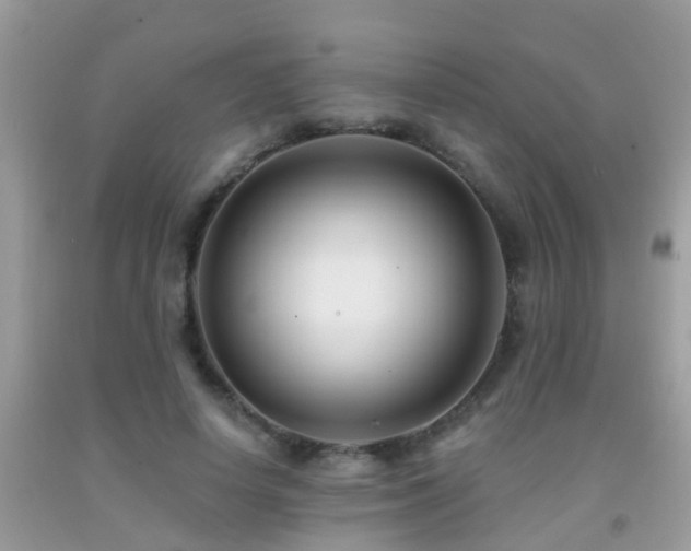 X0000091930642200709051502