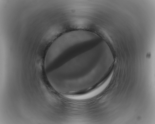 X0000091930643200709051502