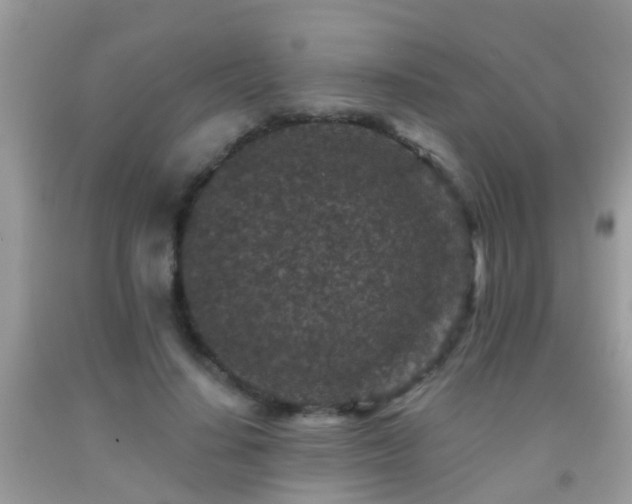 X0000091930644200709051502