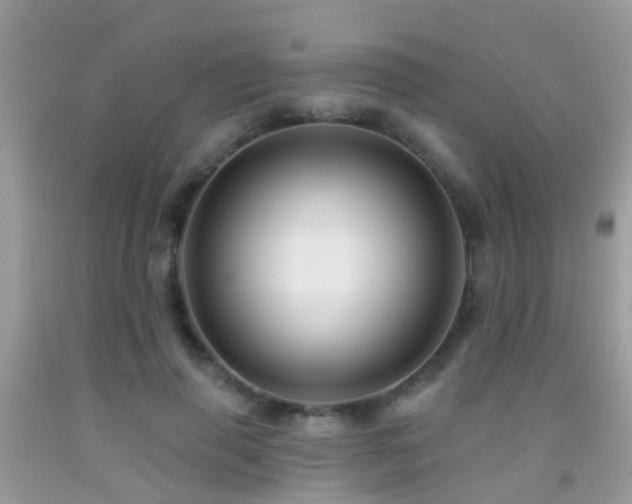 X0000091930645200709051502