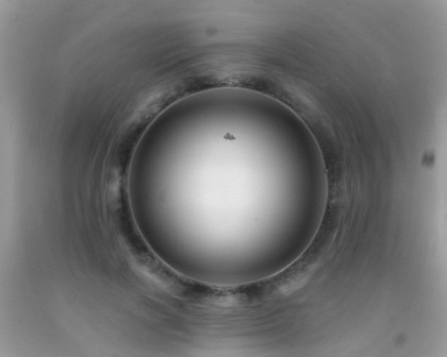 X0000091930646200709051502