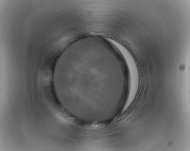 X0000091930647200709051502