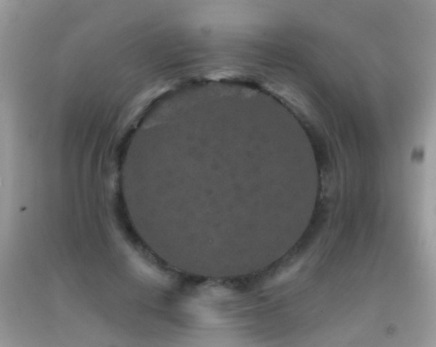 X0000091930648200709051502