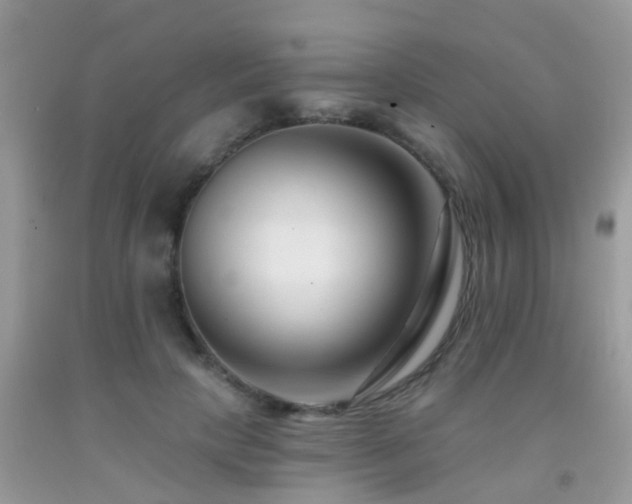X0000091930649200709051502