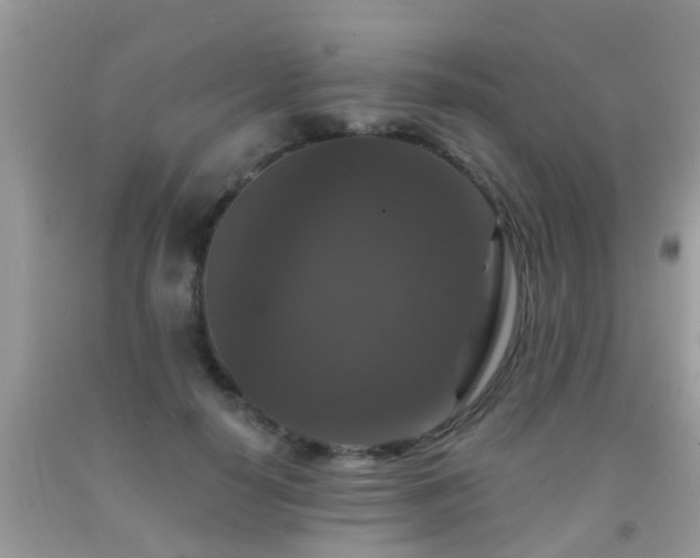 X0000091930650200709051502