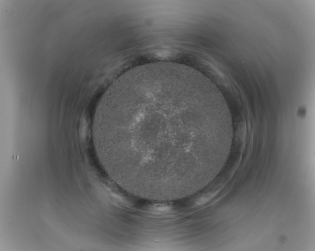 X0000091930651200709051502