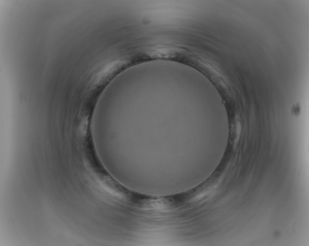 X0000091930652200709051502