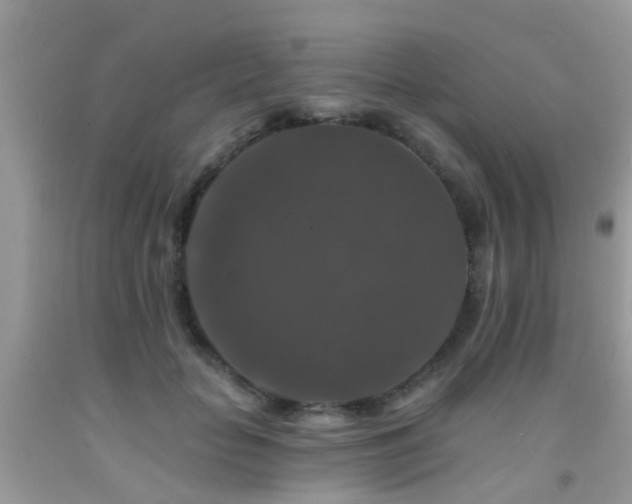 X0000091930653200709051502