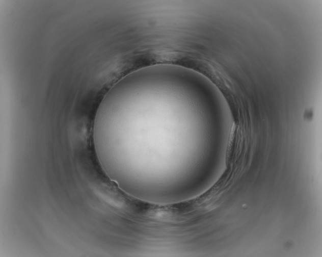 X0000091930655200709051502