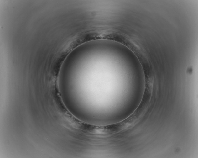 X0000091930657200709051502