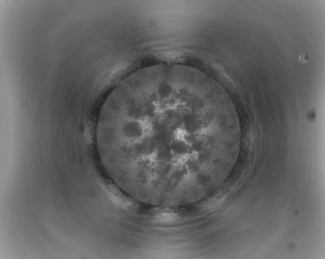 X0000091930658200709051502