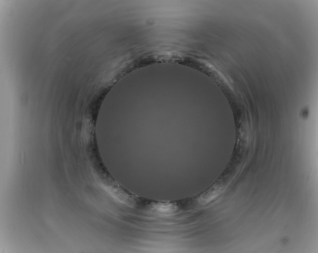 X0000091930659200709051502