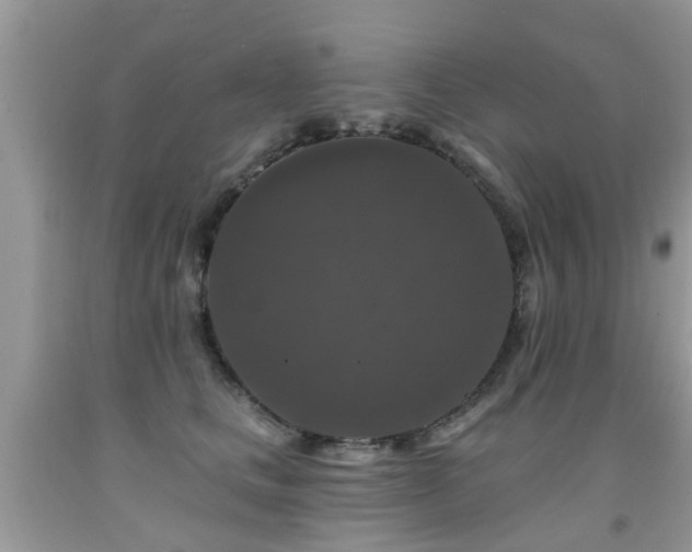 X0000091930661200709051502