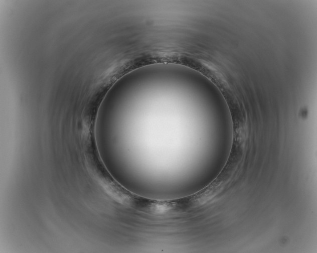 X0000091930662200709051502