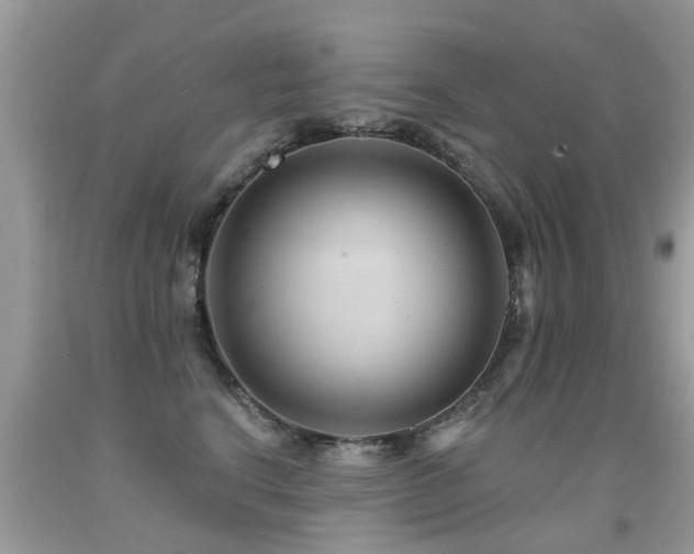 X0000091930664200709051502